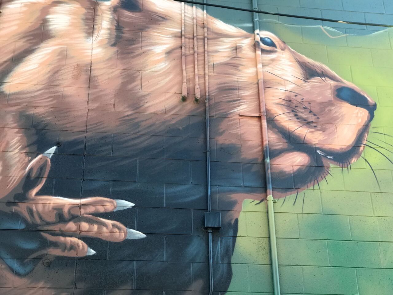 Image from iOS (15).jpg
