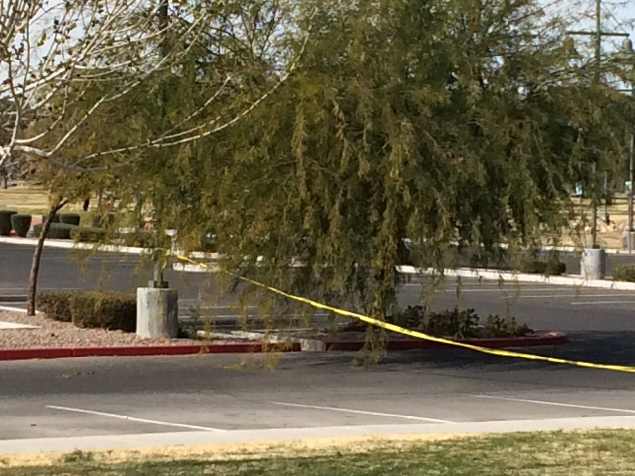 Craig Ranch Park closed 4.jpg