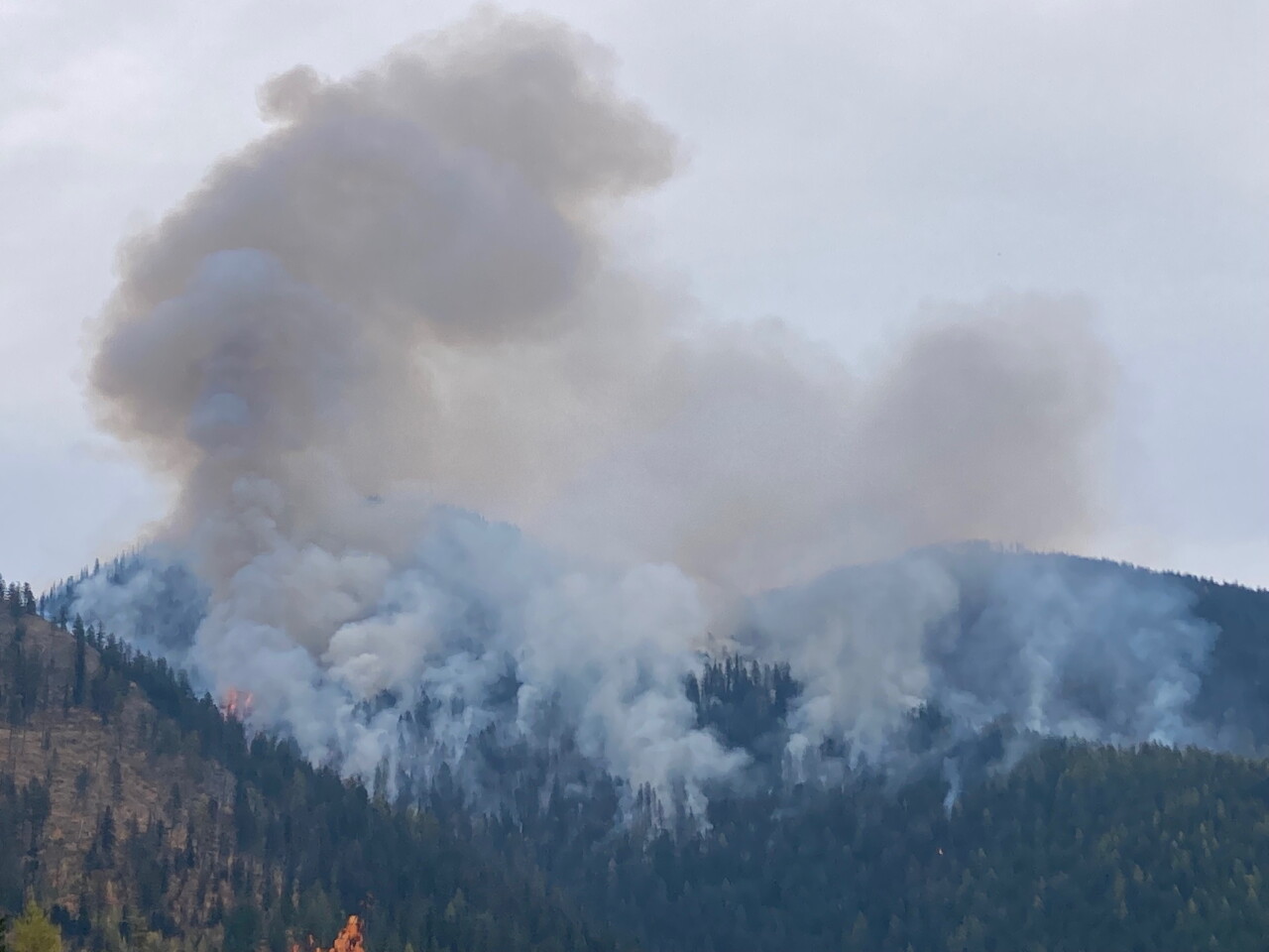 Whitefish Mountain Resort Prescribed Burn