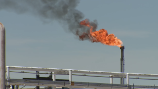 SUNCOR.png