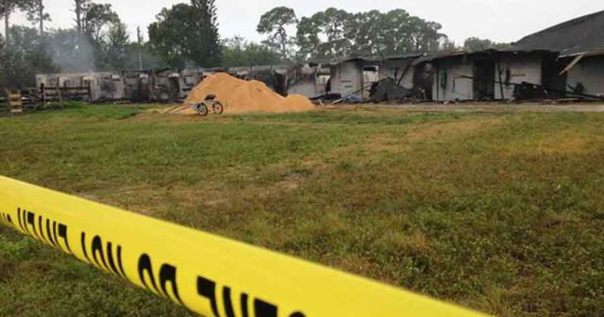 Four horses from barn fire released