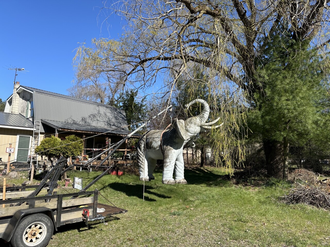 Charley the Elephant