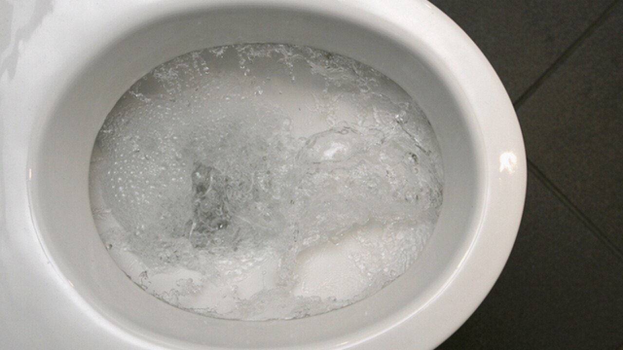 'Bathroom bandit' pilfers plumbing in Columbus