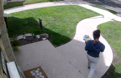 Mail thief suspect going door to door.png