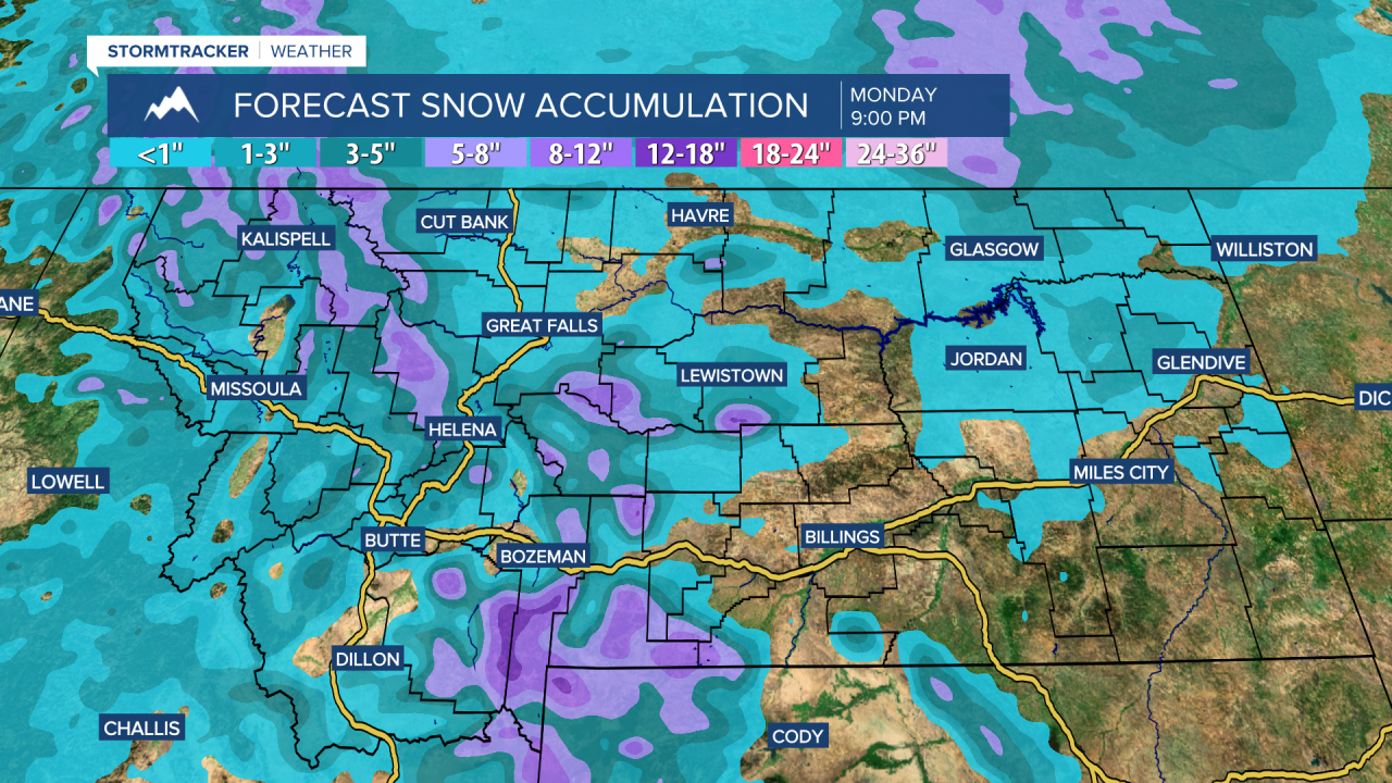 Snow Forecast