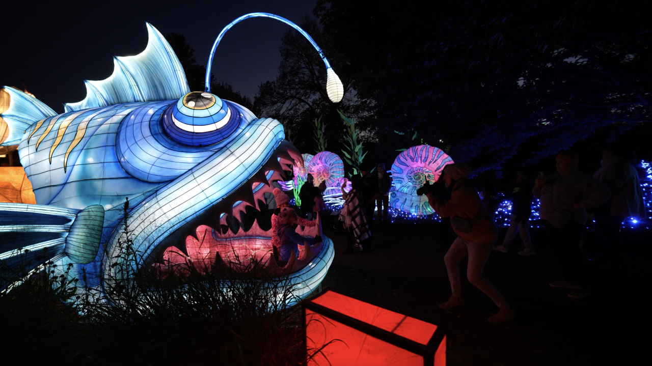 The illuminated experience offers several interactive photo opportunities.