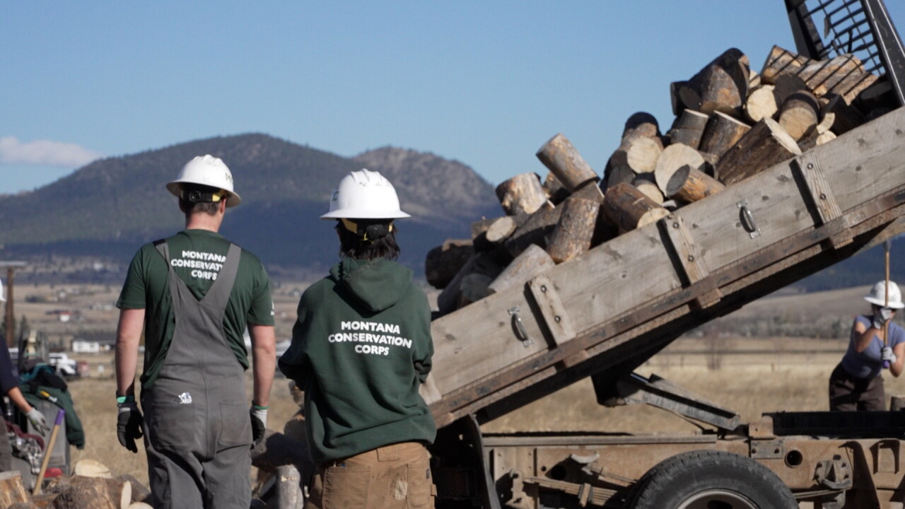 Unloading wood