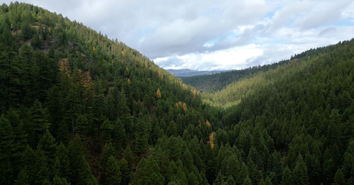 Copper mining company looks to start exploratory drilling near Potomac