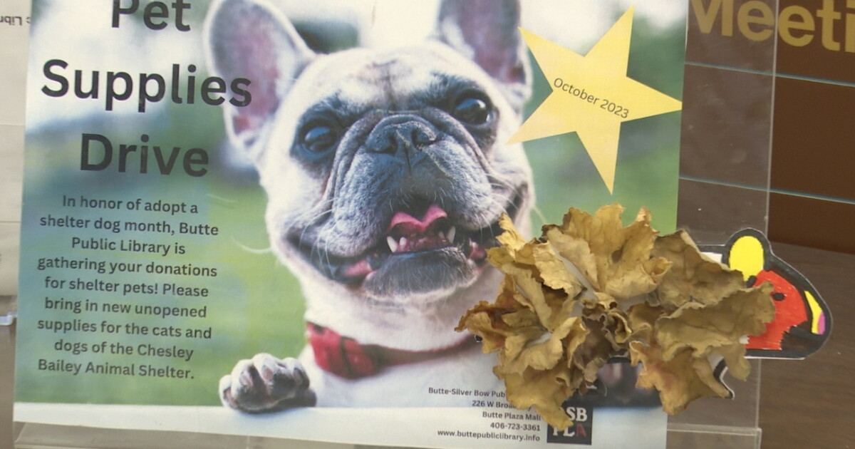 Butte library looking for pet supply donations - Vimarsana News