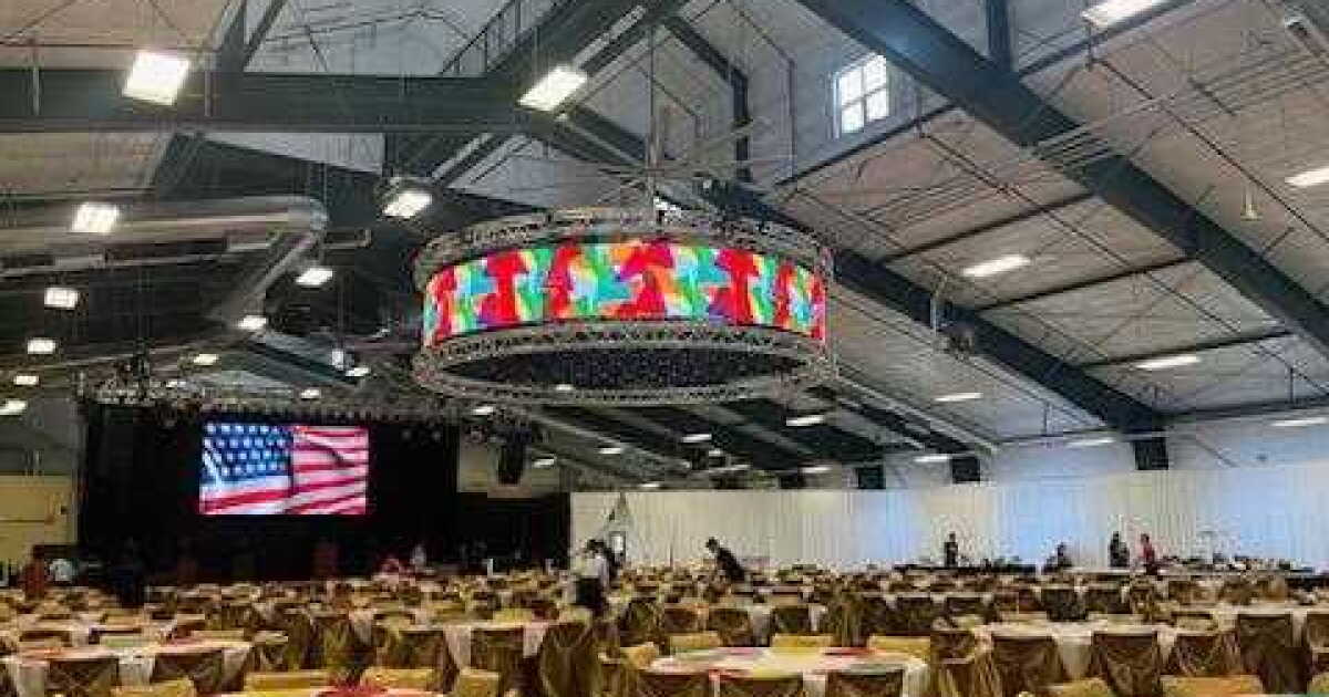 Paint the Town P!NK happening Saturday - Vimarsana News