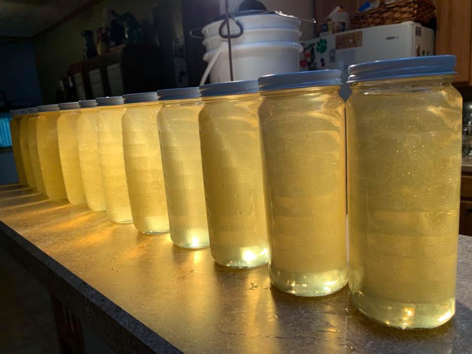 bees4