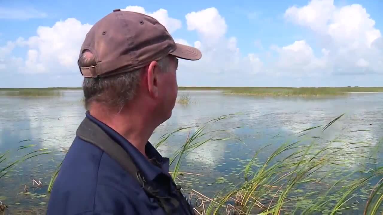 Dr. Paul Gray looks out onto Lake Okeechobee