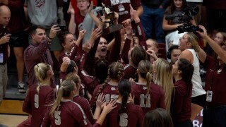 Griz VB 2.jpg