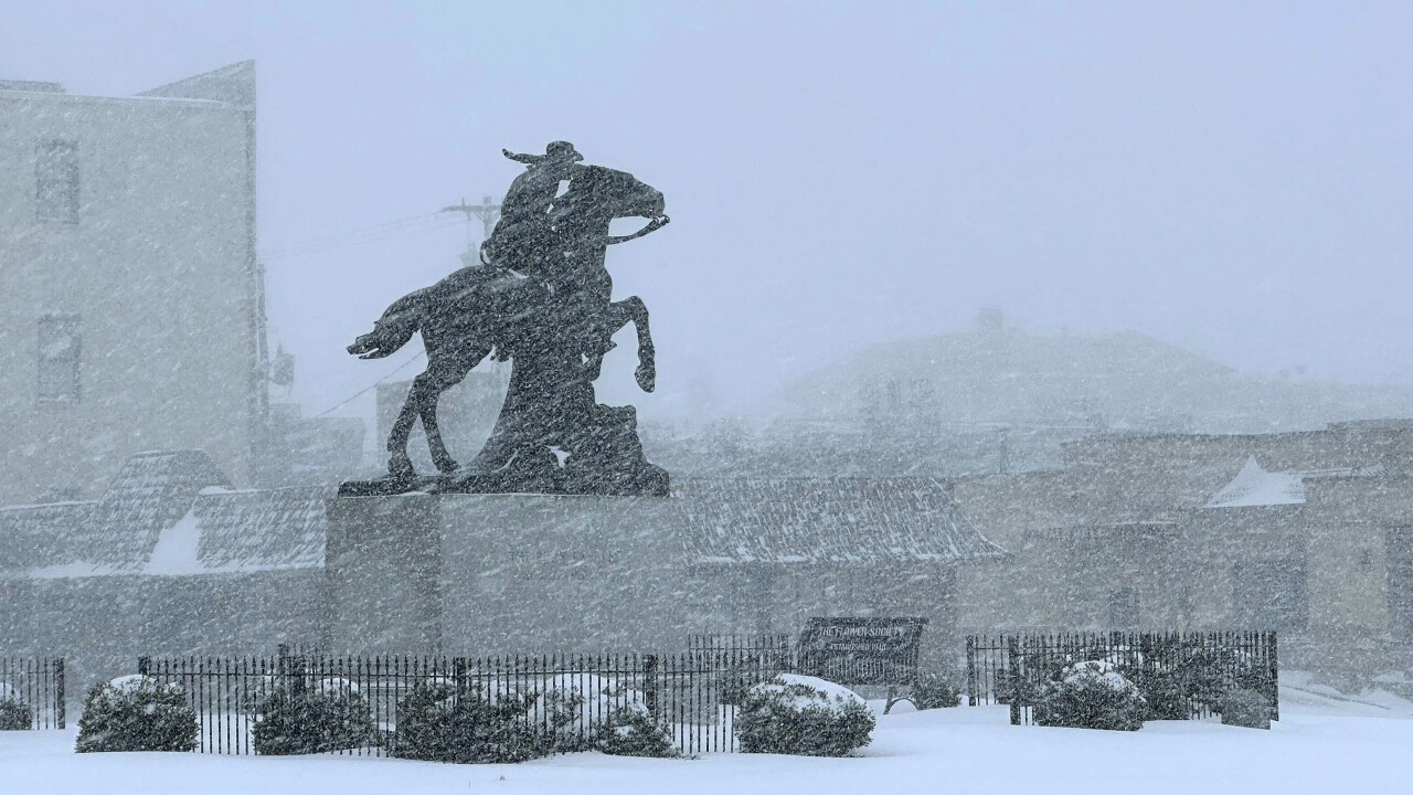 Wintry Weather