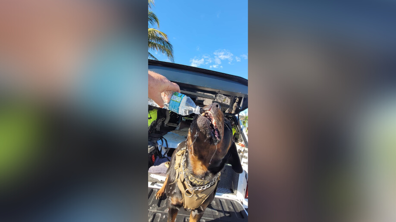Ares k9 lifesaver 2.png