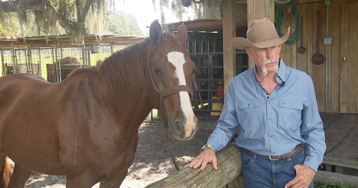 Polk County partners with state to protect 991 acres of ranch land from future development
