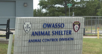 Progress at Owasso Animal Shelter following abuse allegations investigation