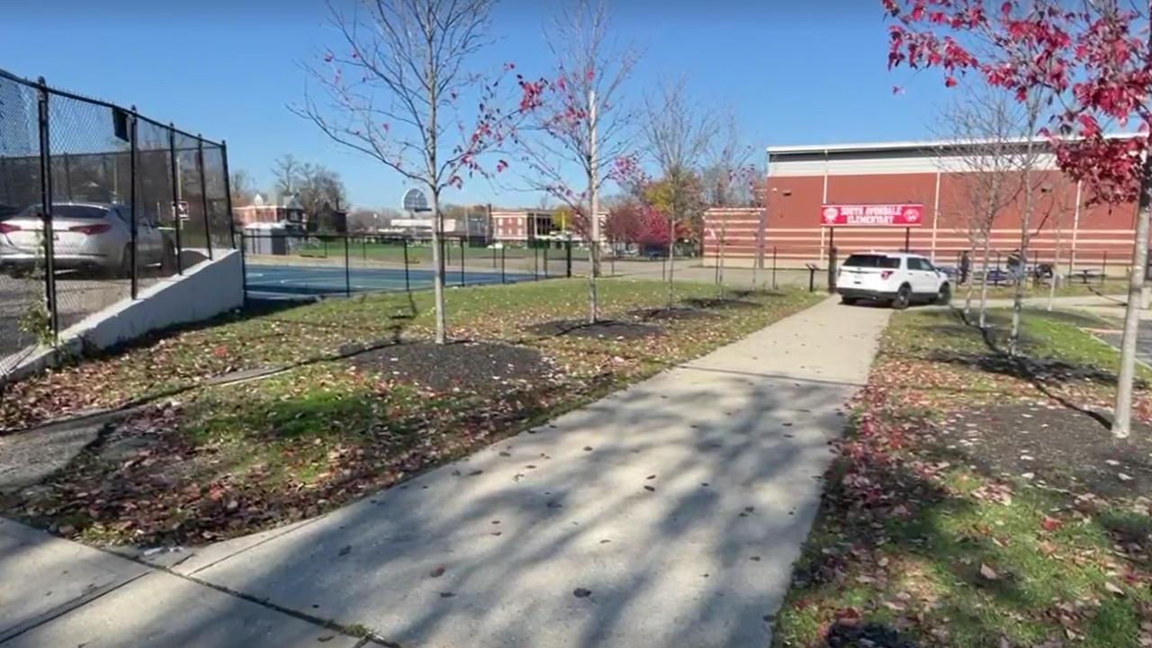 Avondale Thanksgiving Shooting