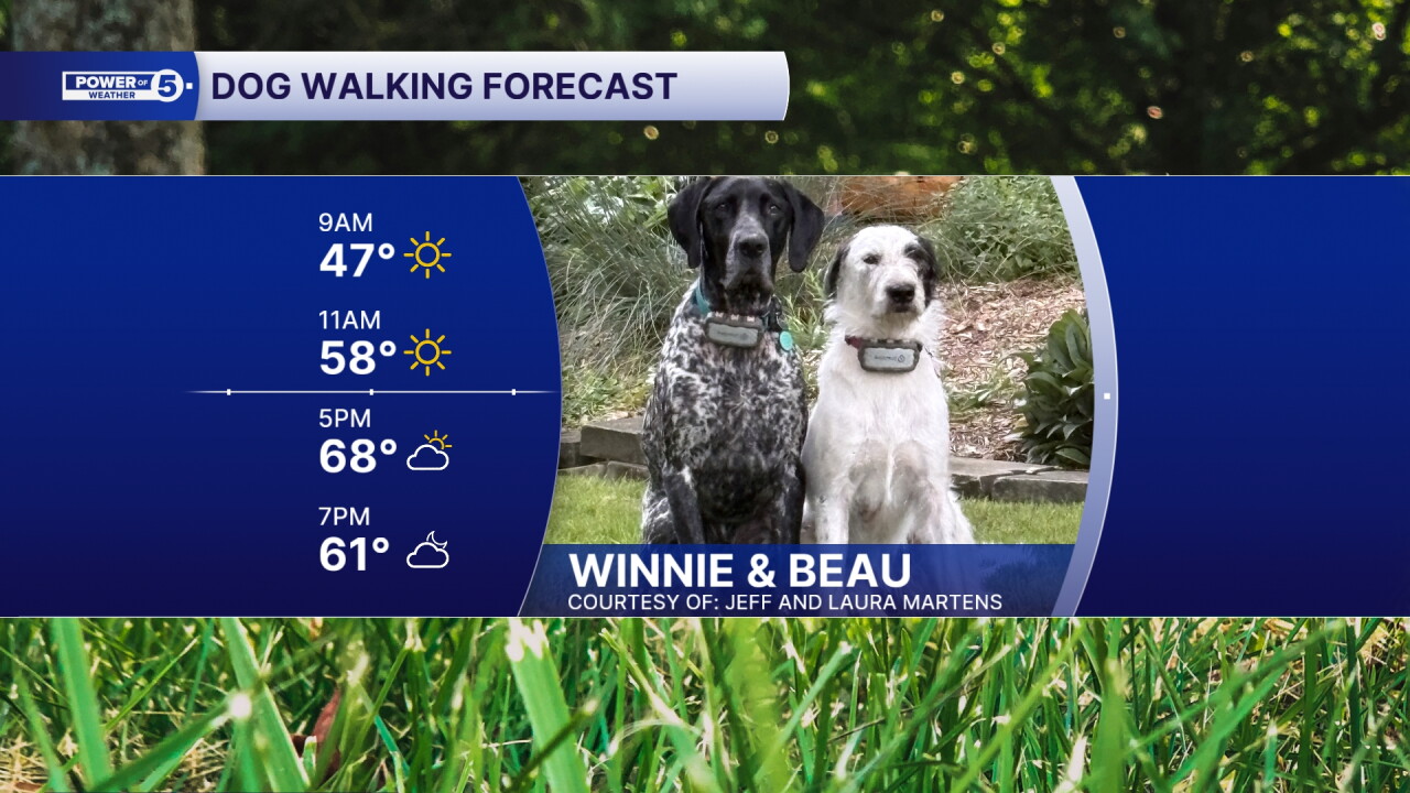WINNIE & BEAU