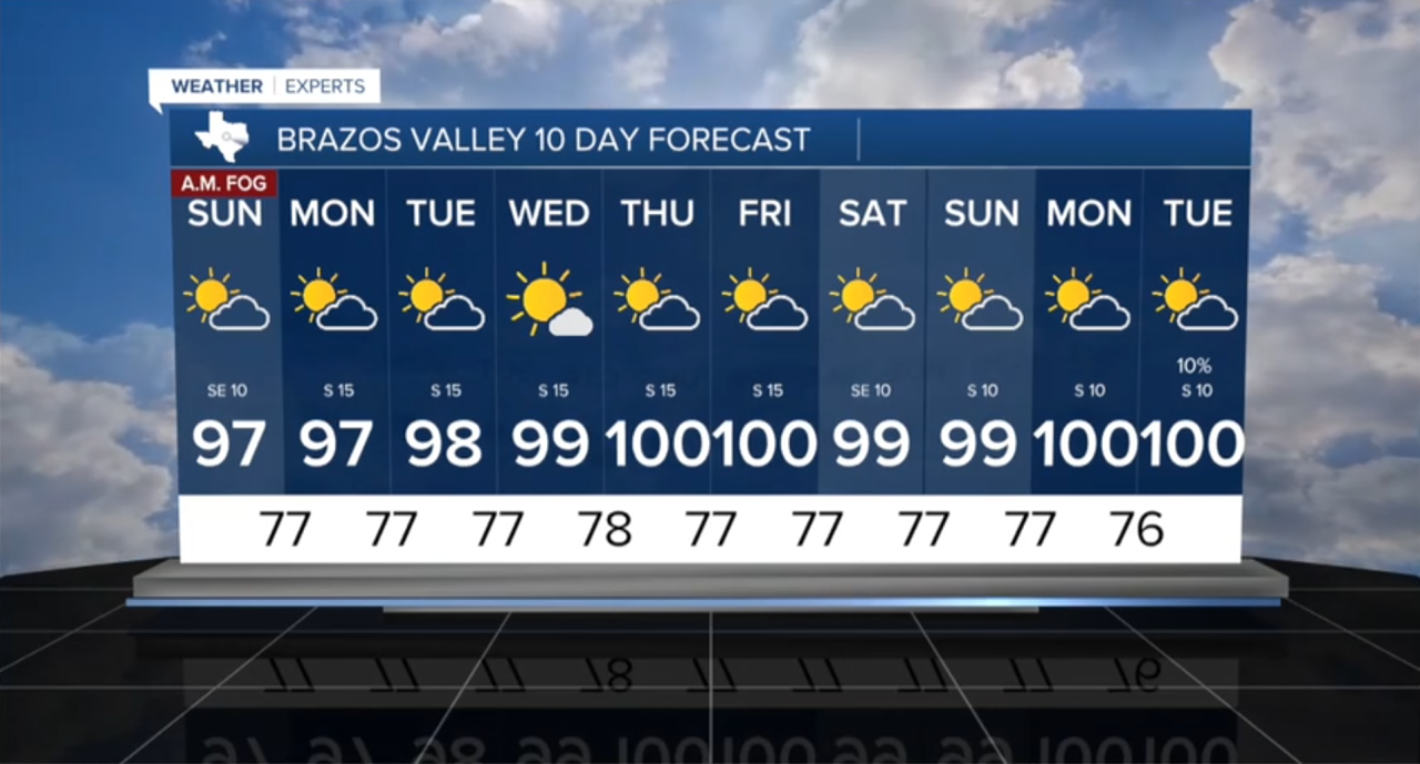 Forecast