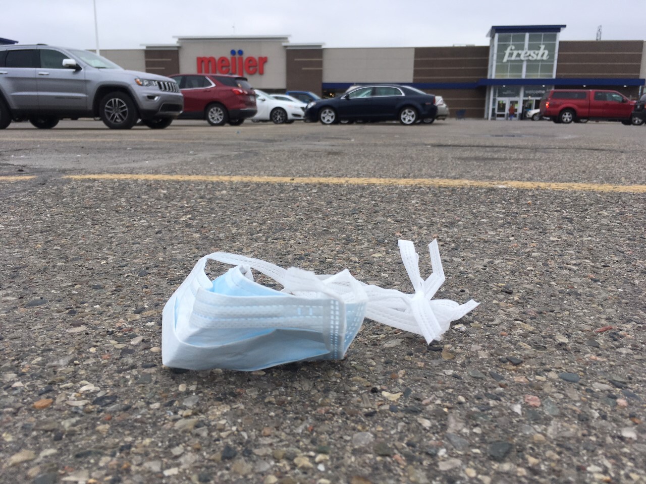 Meijer gloves 1.jpg