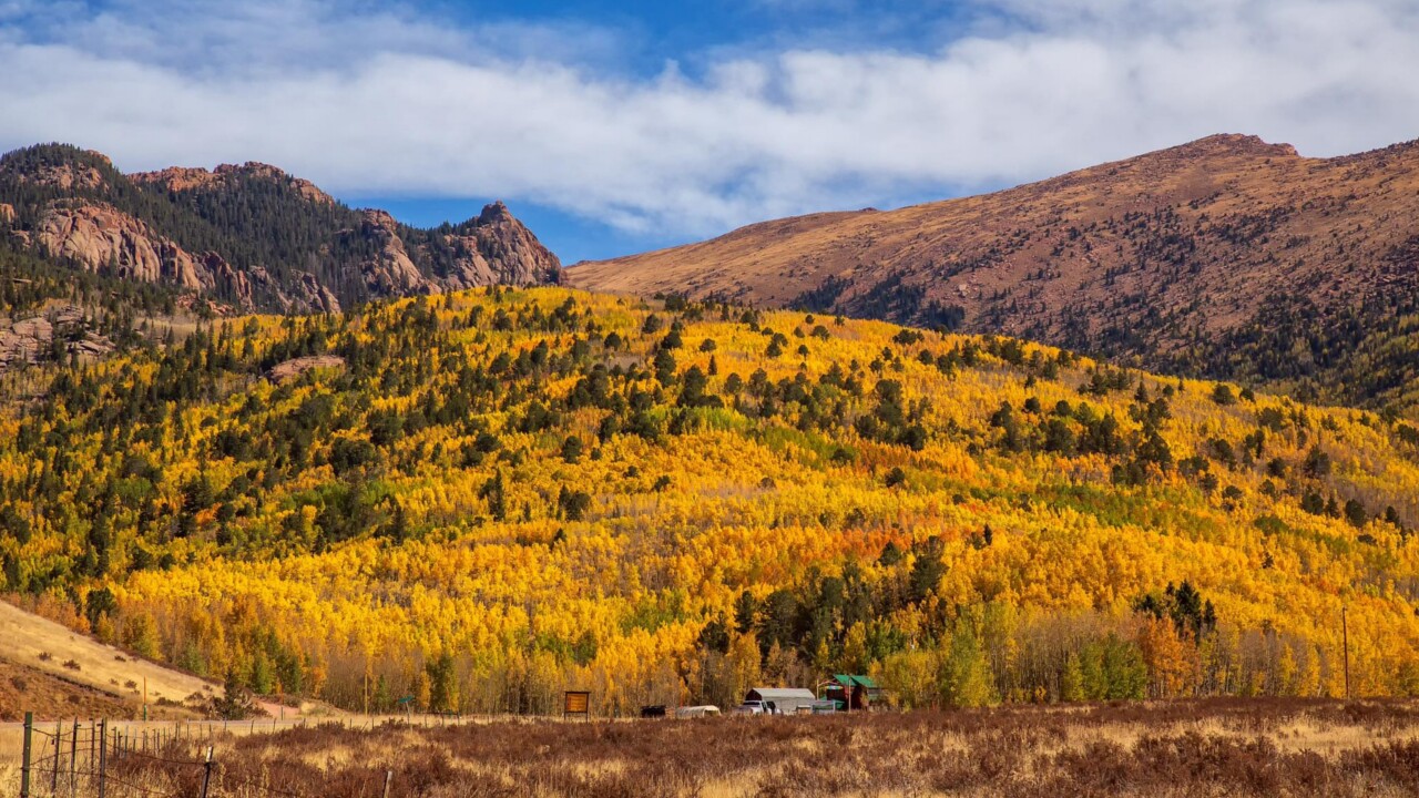 Cripple Creek Bruce Hausknecht.jpg