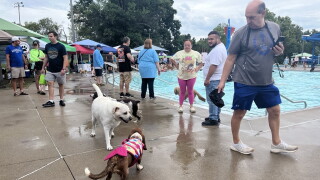 LHS Doggie Paddle