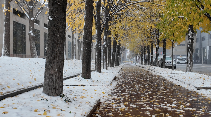 Screenshot 2025-11-10 at 4.25.44 PM.png