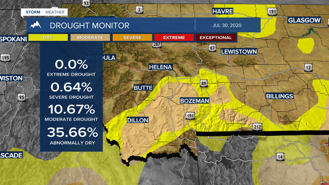 2020 AG DROUGHT MONITOR.png