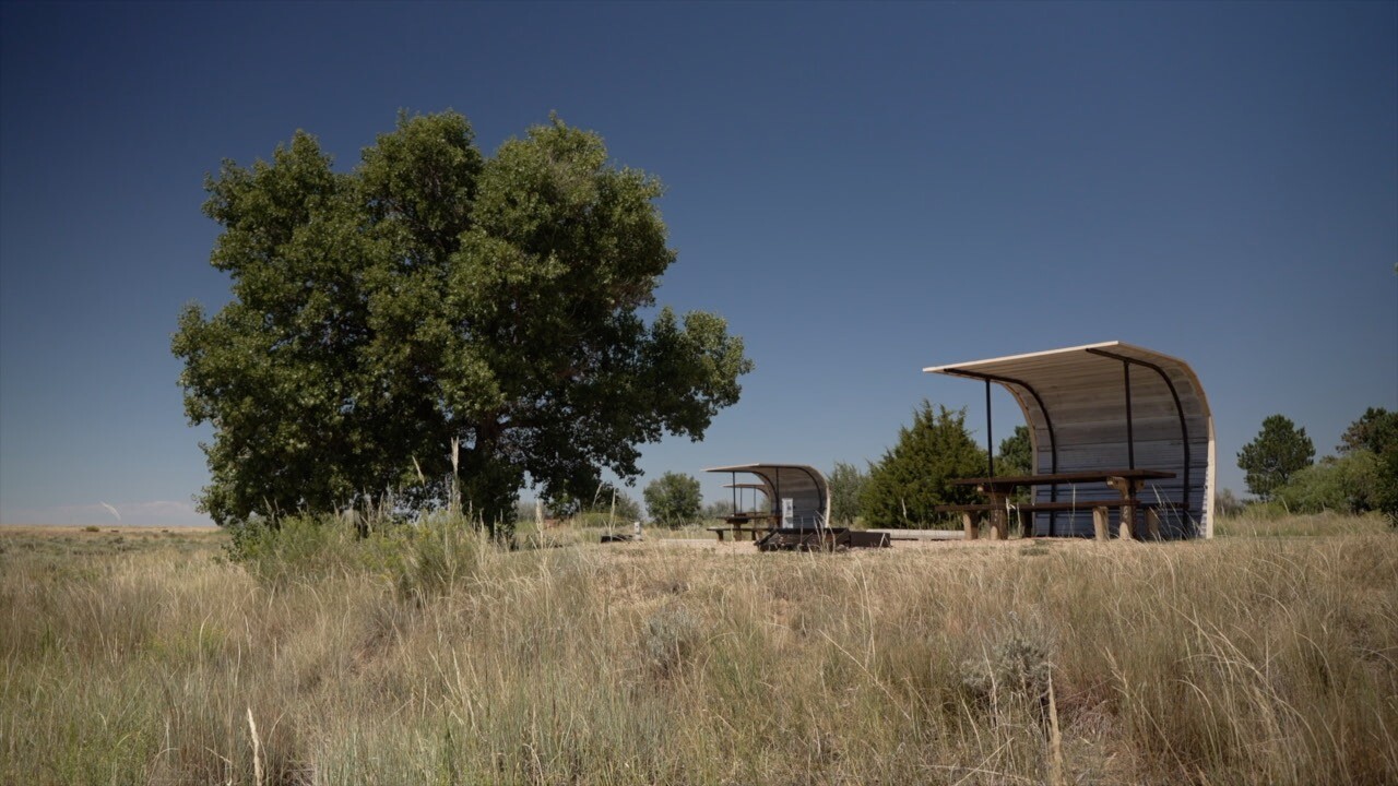 Jackson Lake Campsites.jpg