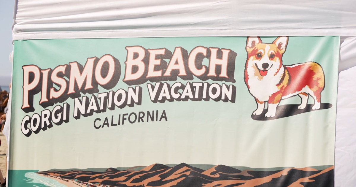 Corgi Rodeo From Corgis at the beach to a rodeo, here are 6 things to do this weekend