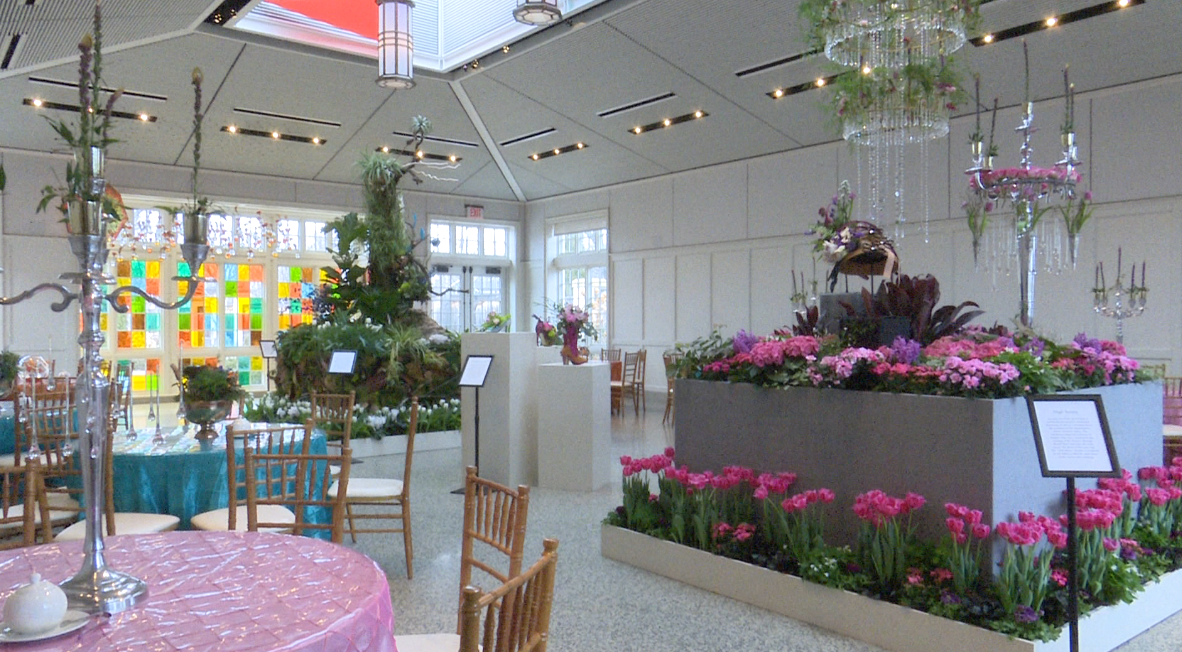 Rooms of Blooms: A burst of spring in winter's dreariness