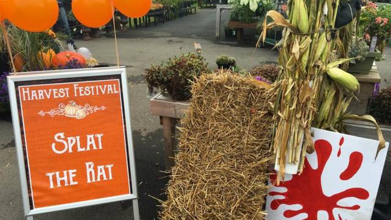 PHOTOS: Garden & Home fall festival