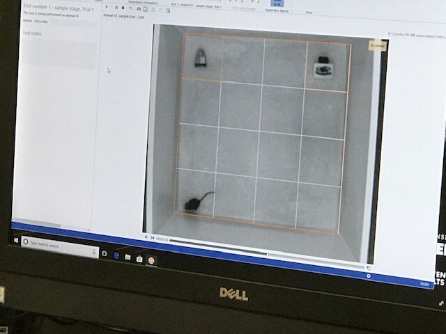 UWM's lab, led by Karen Frick
