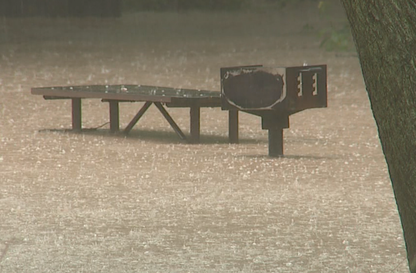 Image from iOS (5).png