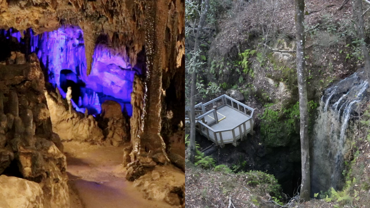 Florida Panhandle.png