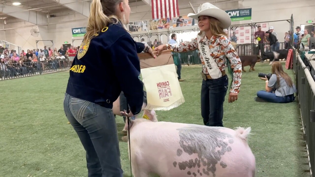 Reserve Winner Canyon County Fair