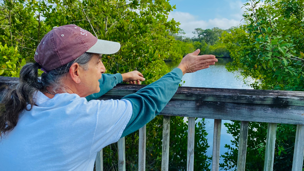 Anclote River apartment fight.png