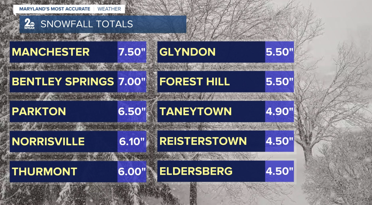 Snow totals