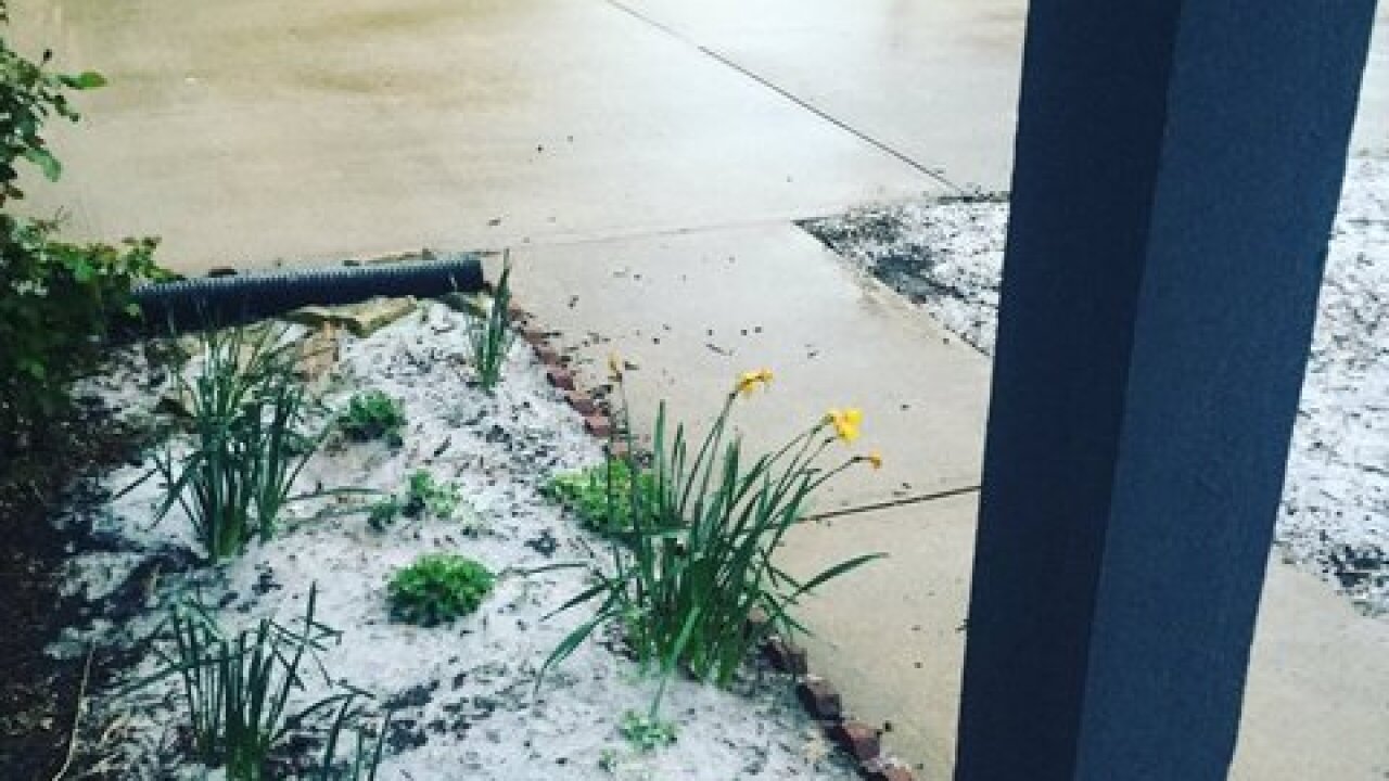 PHOTOS: Easter morning snowstorm
