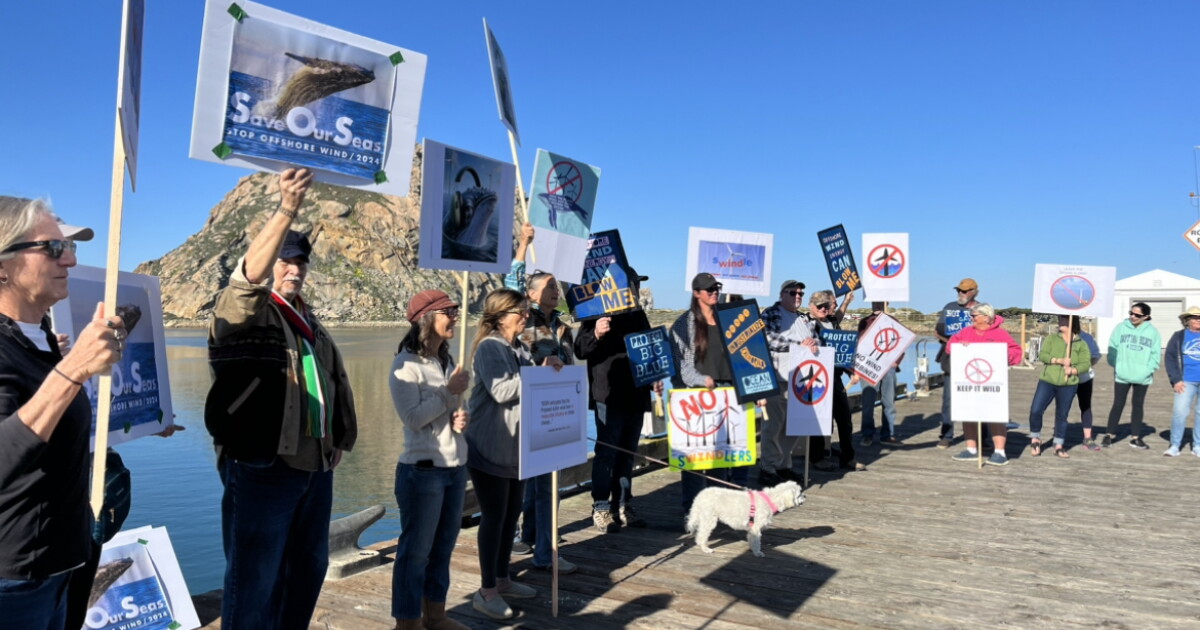 Offshore wind developers cancel Morro Bay event, protesters show up with signs - Vimarsana News