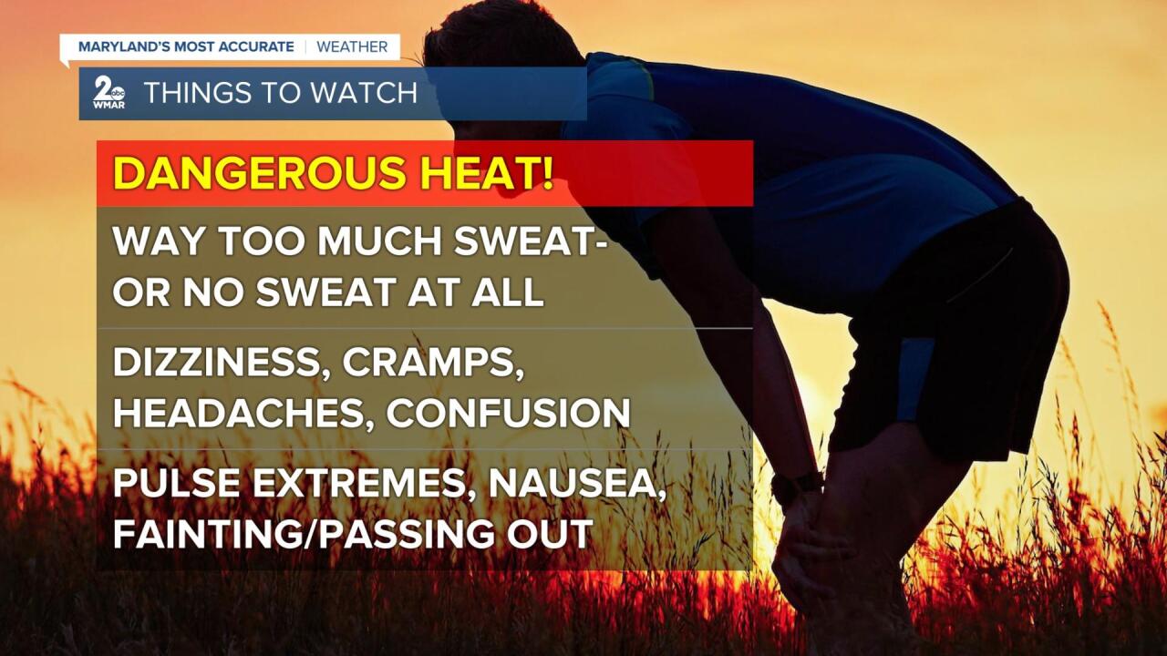 Dangerous Heat.jpg