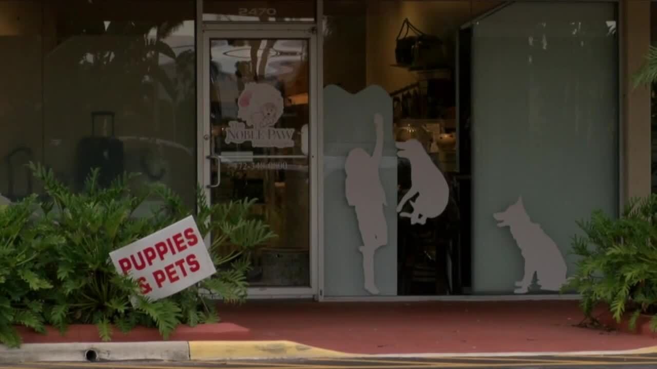 The Noble Paw in Stuart impacted by new Martin County pet sale ban