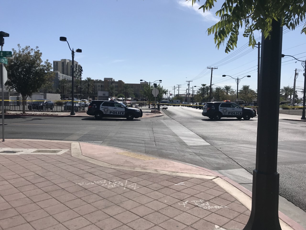 TRANSIT STATION PIC 2.jpg