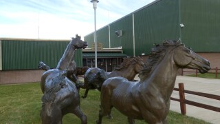 ENNIS MUSTANGS.jpg