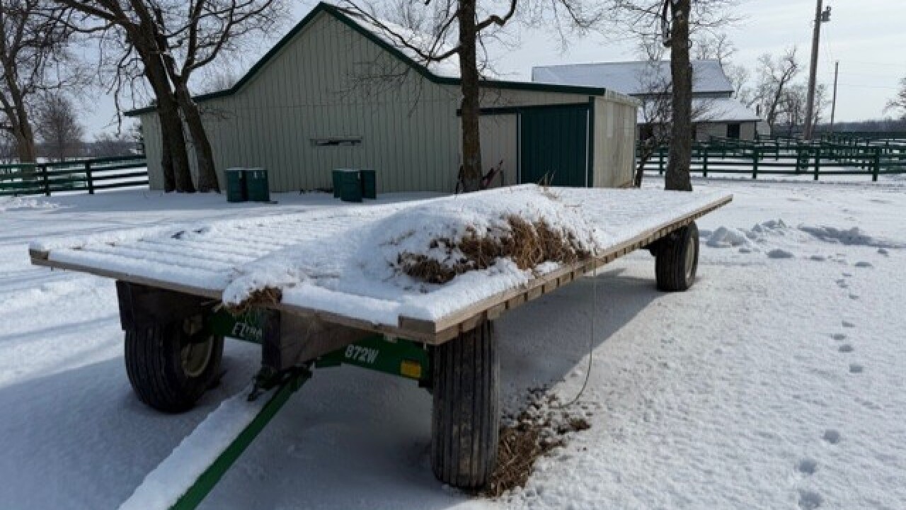 Bravehearts Equine Center 