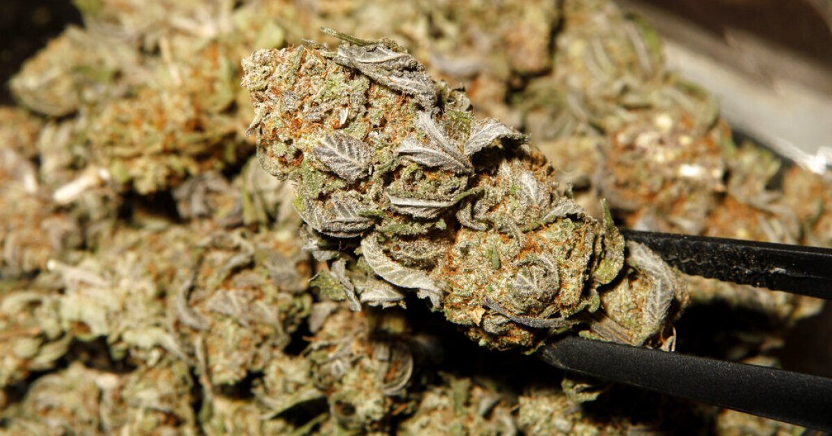 Cannabis commissions recommendation not enough for some