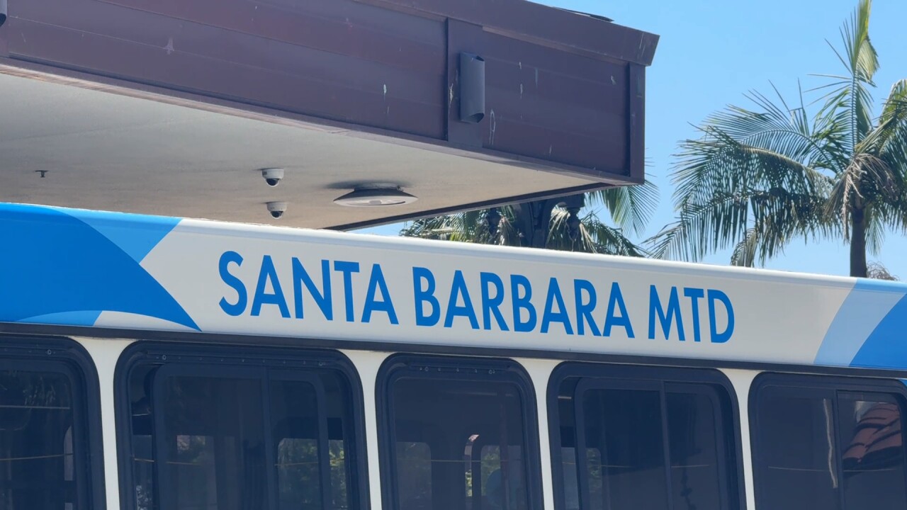 bus.jpg