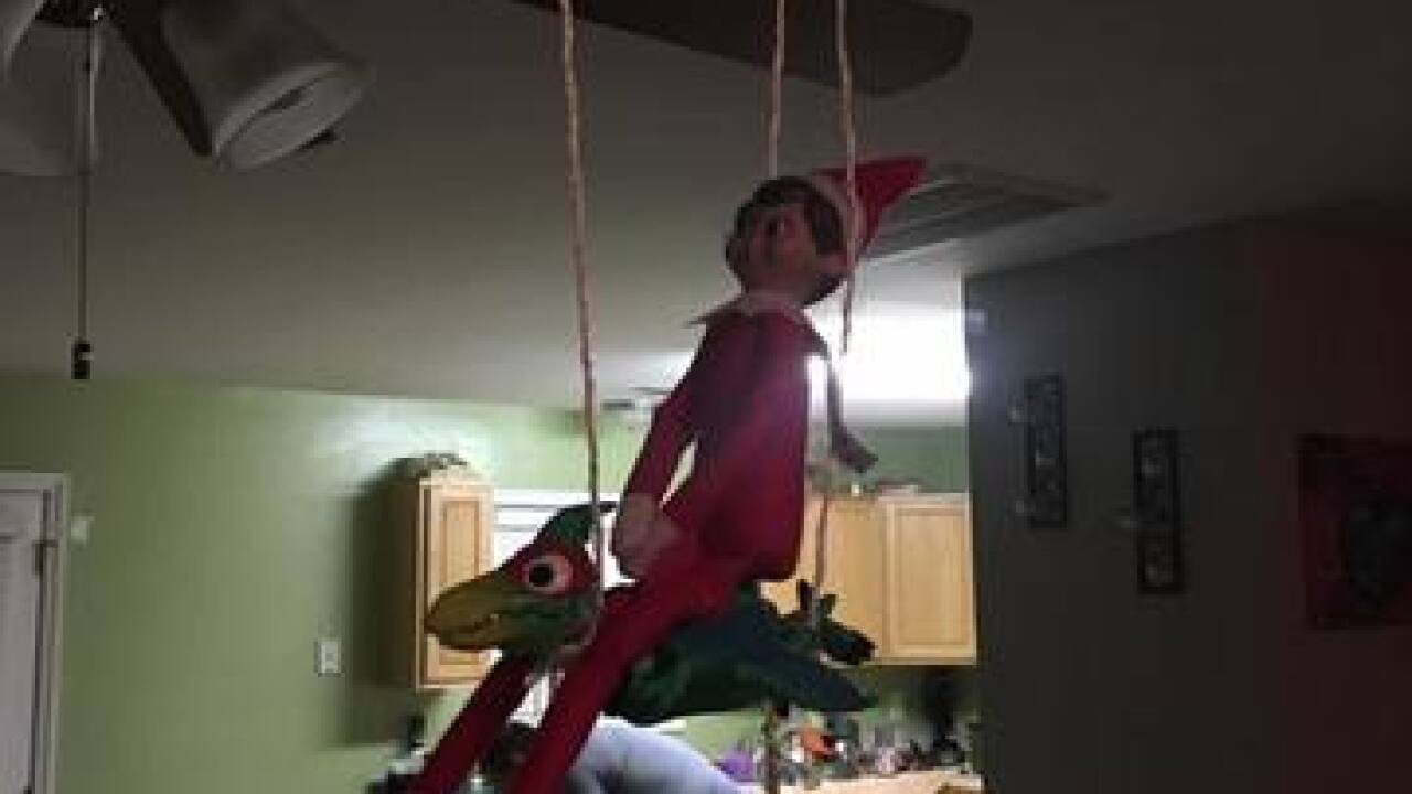 2016 Elf on the Shelf Photos & Ideas