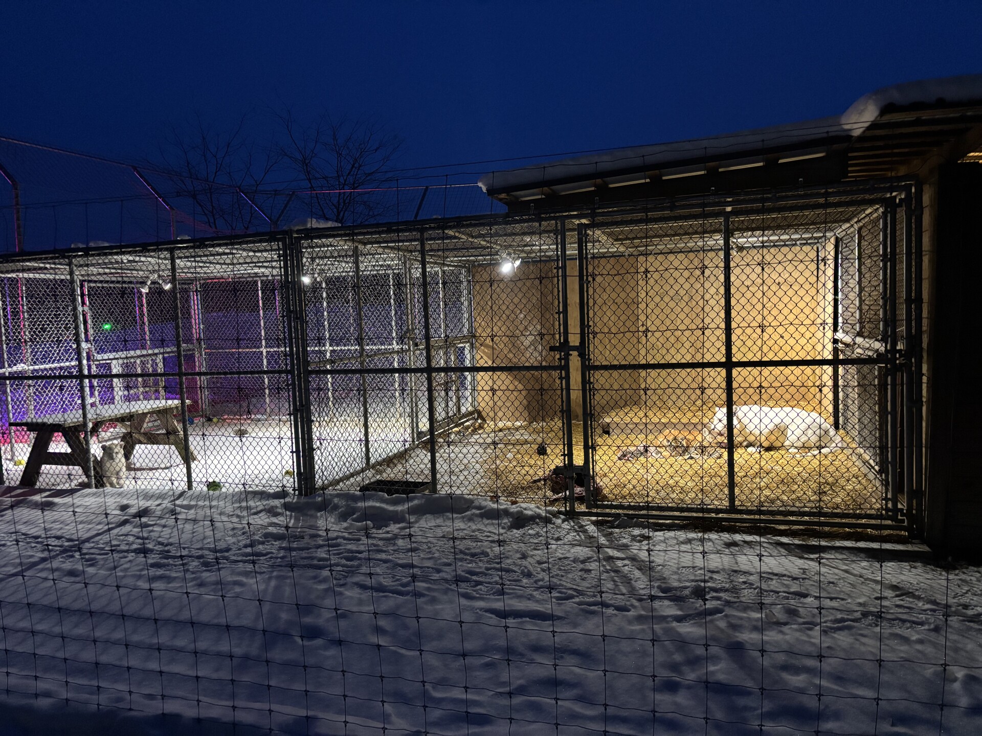 Town of Farmington unanimously approves zoning amendment favoring Shalom Wildlife Zoo amid ongoing lawsuit